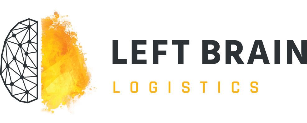 Left Brain